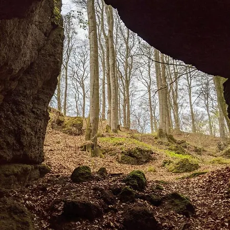 Vulkaneifel Haus Pesch Hébergement de vacances *